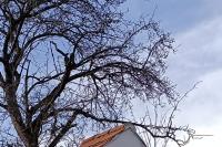 výklenková kaple