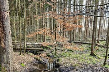  (© Jan P. Štěpánek  04/2024)