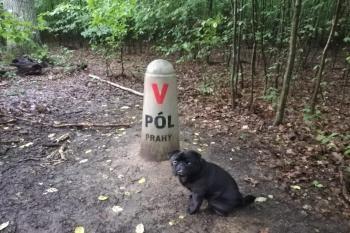 Východní pól Prahy (© Michal Novák  08/2022)