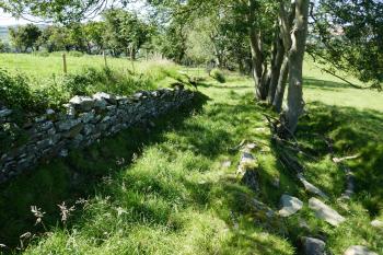  (© Pavel Semple 08/2020)