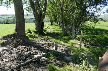  (© Pavel Semple 08/2020)