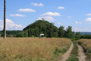 Haldy vyváženého materiálu z dolu už zarůstají ( © Roman Řezáč 07/2004)