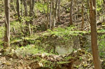 ústí vstupu do sklípku zasekaného do skály s torzem klenby navazující budovy (© Jan P. Štěpánek  04/2024)