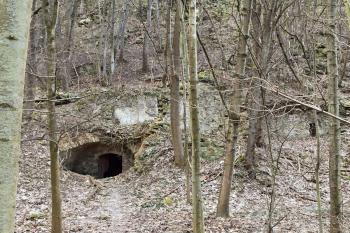 pohled do svahu se vstupem do sklípku, zasekaného částečně do skály, a s pozůstatky kleneb a zdí navazujících staveb (© Jan P. Štěpánek  04/2024)