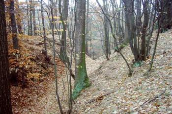 Šíjový příkop (2003 ©Michal Merkl)
