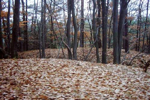 Loubí