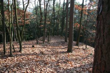 Pohled na hradiště ( © Petr Nožička 11/2009)