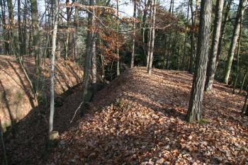 Pohled na hradiště a příkop ( © Petr Nožička 11/2009)