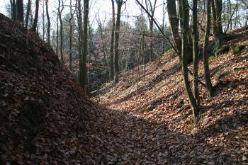 Šíjový příkop ( © Petr Nožička 11/2009)