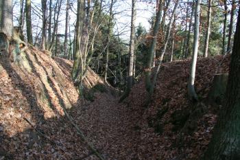 Šíjový příkop ( © Petr Nožička 11/2009)