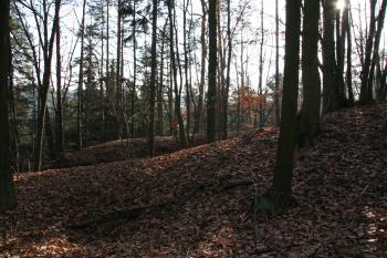 Pohled na plochu hradiště a příkop ( © Petr Nožička 11/2009)