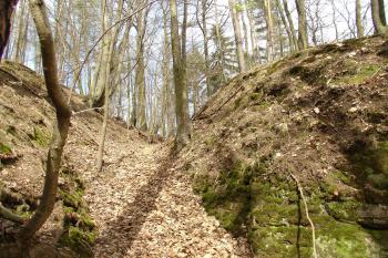 příkop ( © Jiří Čížek 04/2010)