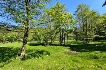 Pohled na terénní vlnu po bývalém náhonu (© Jan P. Štěpánek  05/2024)