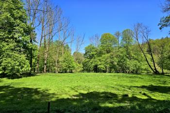 Místo zaniklého mlýna od jihu (© Jan P. Štěpánek  05/2024)