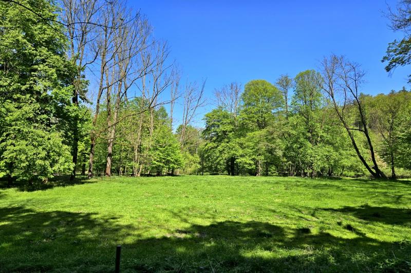 Domoradovický mlýn