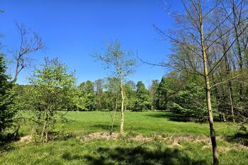 Západní část areálu zaniklého mlýna (© Jan P. Štěpánek  05/2024)