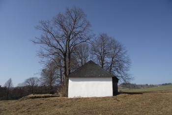  (© Michal Brůža, 03/2012)