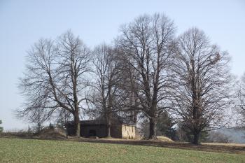  (© Michal Brůža, 03/2012)