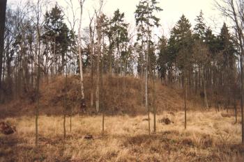 hradní kopec (© Jiří Čížek 12/1997)