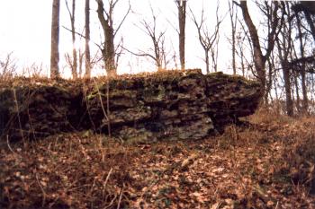 torzo zdi ( © Jiří Čížek12/1997)