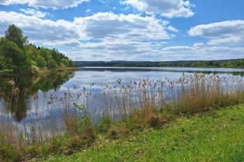 Dolejší rybník (© Simona Kidlesová  05/2024)