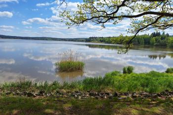 Hořejší rybník (© Simona Kidlesová  05/2024)