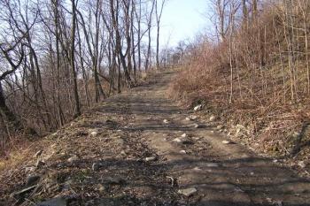 Původní středověká přístupová cesta ve svahu pod zámkem ( © Jan P. Štěpánek 02/2007)