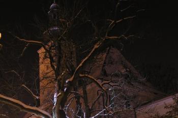 východní palác zadního zámku s věží a památný strom před ním ( © Jan P. Štěpánek 01/2010)