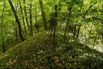 Val – vlevo svah k potoku, vpravo příkop ( © V. Kotík 05/2004)