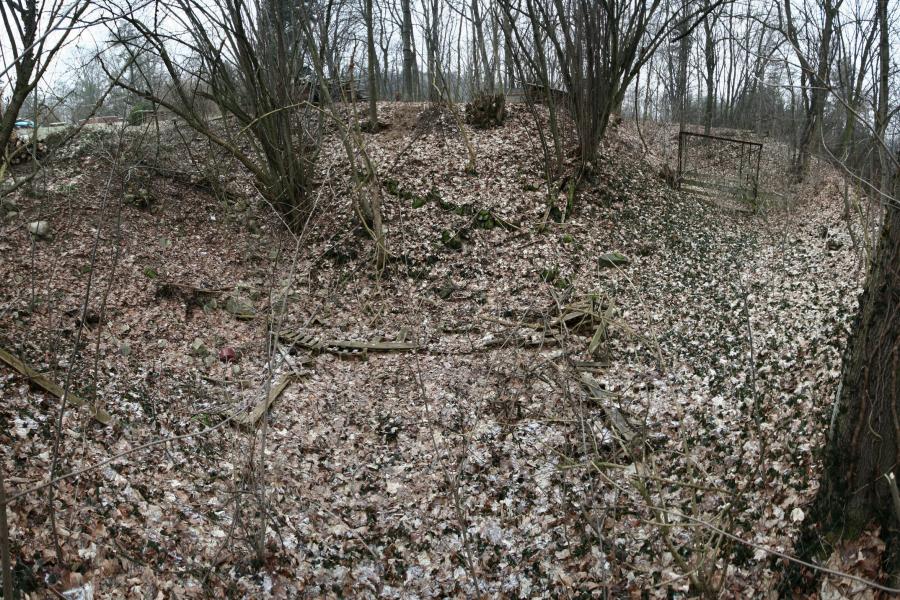 Myšlín
