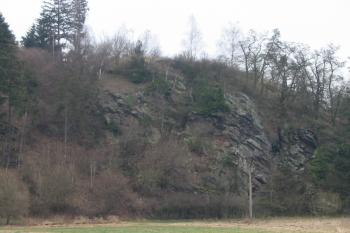 pohled na místo tvrze od sz. (© D Dohňanský, 01/2016)