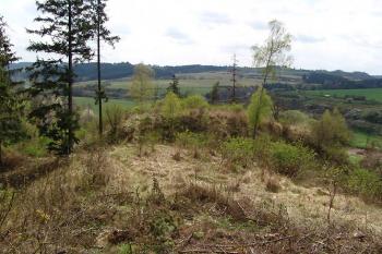 Pohled od severovýchodu na jádro hrádku ( © Roman Řezáč 05/2005)