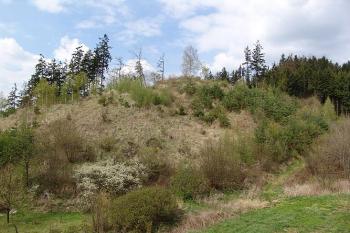 Pohled na ostrožnu s hrádkem od jihu ( © Roman Řezáč 05/2005)