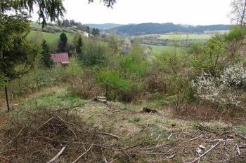 Zarostlý příkop na východní straně ( © Roman Řezáč 05/2005)