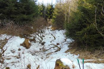 Sev. příkop /od východu/ (© Dušan Dohňanský  02/2022)