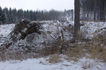 Severní polovina tvrziště ( © Roman Řezáč 02/2009)