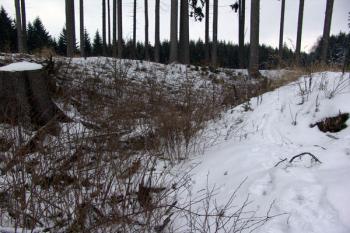 Příkop na severní straně ( © Roman Řezáč 02/2009)