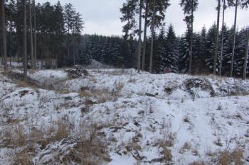 Pohled na jádro od západu ( © Roman Řezáč 02/2009)