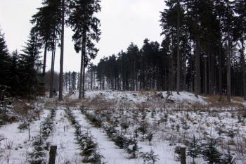 Celkový pohled od jihovýchodu ( © Roman Řezáč 02/2009)