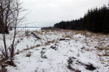Příkop na jihozápadní straně zaniklé vsi ( © Roman Řezáč 02/2009)