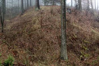 panorama jádra s příkopem od jihozápadu ( © Pavel Zany Komárek 24/11/2003)