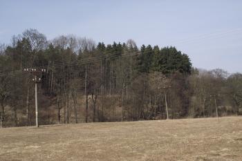  (© Michal Brůža, 03/2011)