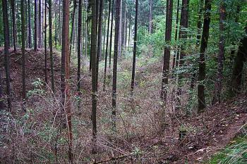 Příkop ( © Roman Řezáč 10/2003)
