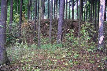 Příkop ( © Roman Řezáč 10/2003)