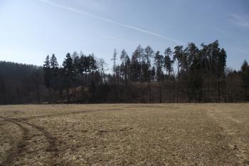  (© Michal Brůža, 03/2011)