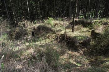  (© Michal Brůža, 04/2011)