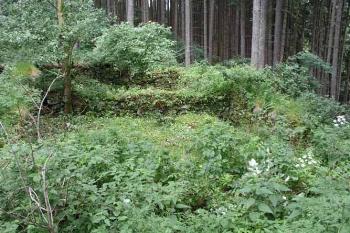Celkový pohled do interiéru dvouprostorové budovy ( © Roman Řezáč 06/2004)