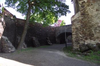  (© Michal Brůža, 05/2011)