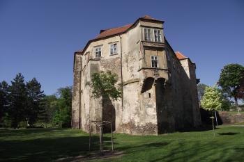  (© Michal Brůža, 05/2011)