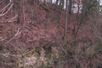 fort II Radíkov
